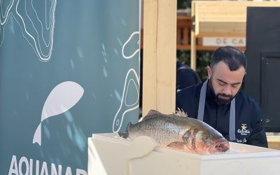 AQUANARIA EN WE ARE FACEFOOD IBIZA #WAFF22