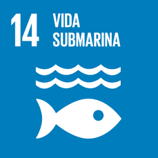 vida submarina