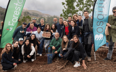 EL BOSQUE AQUANARIA CONTINÚA CRECIENDO EN GRAN CANARIA