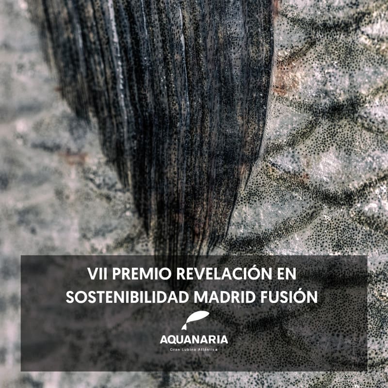 VII Premio Sostenibilidad